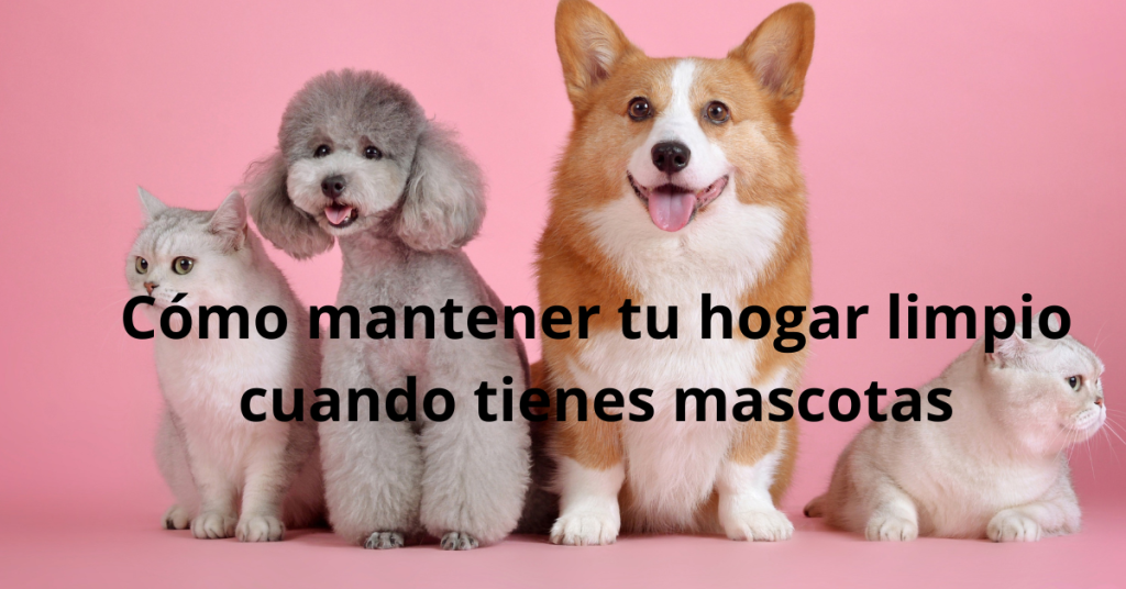 Cómo mantener tu hogar limpio cuando tienes mascotas