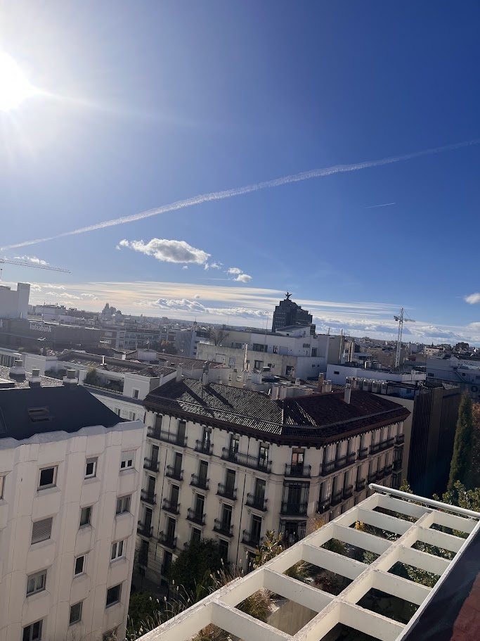 Trabajos Verticales Madrid